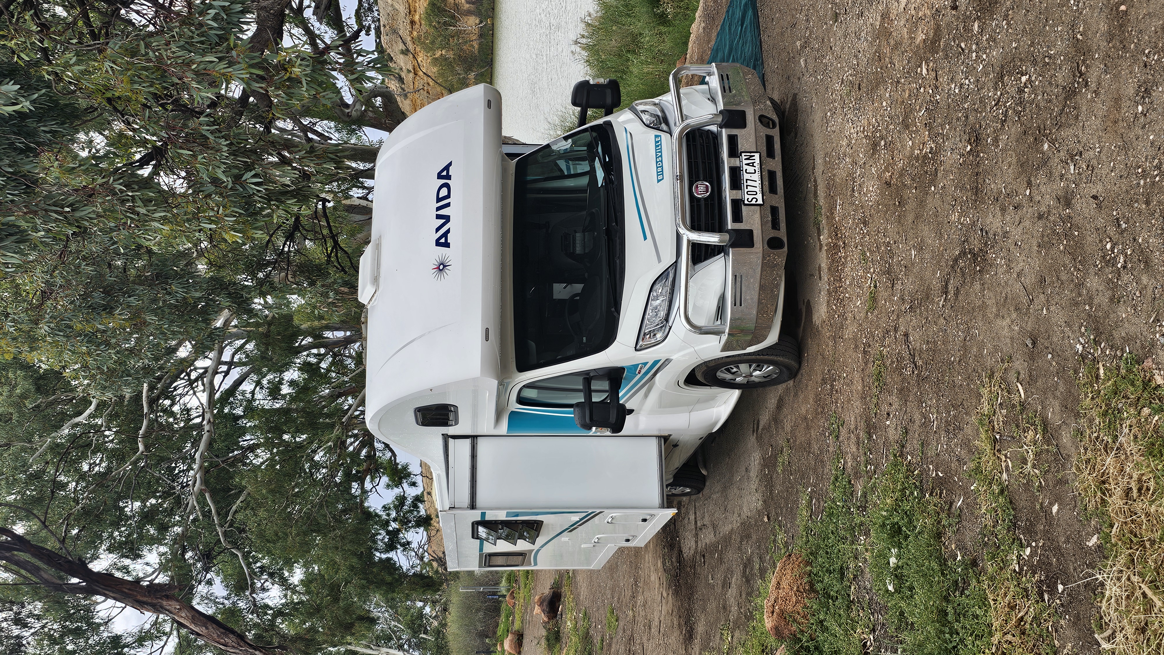 Izzy parked among gum trees